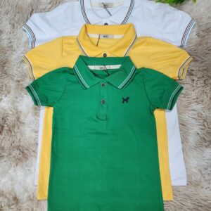 Camisa gola polo